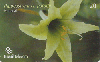 02969  PR  03/04  Flores Raras ( 06/10 ) Tir. 2.000 Interp. 20C