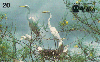 72275  CE  11/97  Natureza Viva ( Garça branca Grande ) Tir. 10.000 Interp. 20C ( CHEIO )