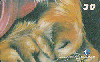 1925 RJ  06/00  TIGRE ( 10/10 ) Tir. 100.000 ABNC 30C