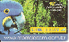 27629  CTBC   WWW.CTBCTELECOM.COM.BR  TIR. 3.000