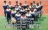 35220  Japão