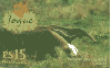 85235  jul/02	TOQUE ECOLÓGICO - TAMANDUÁ BANDEIRA - TCO	CSM	15