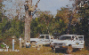 31119  BT  04/03  Projeto Arara Azul (06/08) Tir. 195.000 ICE 40C