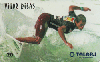 066  CARD - TELE NORTE LESTE (NÃO É CARTÃO TELEFÔNICO)