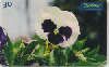 0700 SP 10/99 Flores (Amor Perfeito branco) Tir. 400.000 30c.
