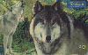0792 SP 03/00 Animais Selvagens (Lobo) Tir. 500.000 30c.