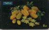 0861 SP 09/00 Alimentos Frutas (Carambola) Tir.200.000 Interp.30