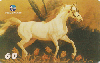 1231  RJ  02/01  Cavalo Branco CAV J1  Tir.50.000 ABNC 60C
