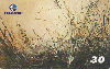 1375  RJ  05/01  Luzes do Oriente  LO1 I1  (01/04) Tir.200.000 ABNC 30C