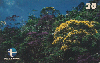 102  ES  12/99  Mata Atlântica - Paisagismo (16/20) Tir.40.000 CSM 30C