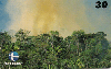104  ES  12/99  Mata Atlântica - Paisagismo (18/20) Tir.40.000 CSM 30C