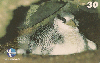 172  ES  04/00  Oceano - Aves Marinhas (03/05)  Tir.200.000 CSM 30C