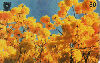 02742  PR  02/00  Ipê Amarelo  Tir. 50.000  30C