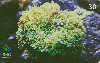 03494  SC  07/01  Série Marinho ( 10/10 )  Tir. 150.000 ICE 30C