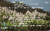 03539  SC  05/02  Série Poesia ( 07/08 ) Tir. 150.000 ICE 30C