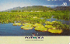 09894  MT  03/03  Meio Ambiente Pantanal ( 04/04 ) Tir. 75.000 Interp. 40C