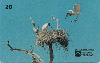 11511  MS  09/98  Tuiuiú ( Jabiru mycteria ) B2  Tir. 400.000 ABNC 20C
