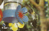 14715  GO  11/03  Beija Flor ( 02/02 )  Tir. 125.000 ICE 40C