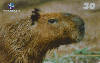 16629  BA  04/01  Grandes Animais da Natureza ( 09/10 ) Tir. 110.000 ABNC 30C
