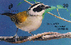 18317  CE  03/99  Aves da Fauna Cearense ( Tico Tico ) Tir. 150.000 CSM 20C