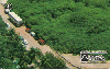 72221 CE 11/97 O maior Cajueiro do Mundo Parte III Tir. 10.000 Interp. 20C ( CHEIO )