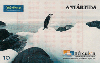 4020  SP  03/01  Hércules  Antartida  ( 24/50 )  Tir. 20.000 Interp. 10C