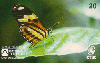 73072  CTBC 03/98 Mata Atlântica ( Borboleta Laranja ) Tir. 200.000 Interp. 20C ( CHEIO )