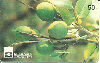 14043  GO 11/98 Frutos do Cerrado Goiano ( Mangaba  ) Tir. 100.000 ICE 50C
