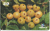21667  MA  03/00  Frutas do Maranhão ( 17/20 ) Tir. 50.000 ABNC 30C