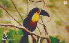 31058  BT  02/03  Renctas: Tucano-de-Bico-Preto Tir. 250.000 ICE 40C