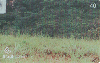 15950 GO 12/03 Salto do Corumbá ( 04/04 ) Tir. 75.000 ICE 40C