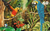 1033  RJ  10/00  Diana Santos (Floresta Tropical) FTR J1  Tir.50.000 ABNC 60C