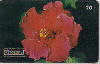 0352  RJ  01/99  Hibiscus Híbridos  (16/20) Tir.100.000 ABNC 20C
