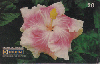 0353  RJ  01/99  Hibiscus Híbridos  (17/20) Tir.100.000 ABNC 20C