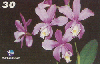 1293  RJ  05/01  Orquídeas Cattleya Harrisoniana  (05/10) Tir.200.000 ABNC 30C