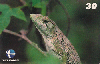 082  ES  10/99  Mata Atlântica - Fauna (16/20) Tir.40.000 CSM 30C
