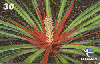 123  ES  12/99  Mata Atlântica - Flora (07/10) Tir.40.000 CSM 30C