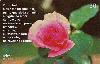 03538  SC  02/02  Série Poesia ( 06/08 ) Tir. 150.000 ICE 30C