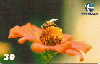 04690  RN  10/99  Primavera  PVR I1  Tir. 70.000 CSM 30C