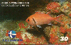 05381  PB  02/00  Série Peixes ( Mariquita ) MAR I2  Tir. 150.000 Interp. 30C