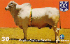 06412  PE  11/00  Sociedade Nordestina de Criadores ( 01/10 ) Tir. 150.000 CSM 30C