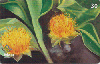 11719  MS  12/01  Artistas Regionais Flores ( 03/06 ) Tir. 150.000 ICE 30C