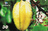 16499  RBA  11/00  Série Frutas  ( 09/10 )  Tir. 175.000 ABNC 30C