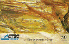 25396  CTBC  11/98  Um olhar s/ o Cerrado AGL C1 ( As Águas ) Tir. 204.000 ICE 50C
