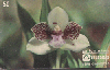 37566  TB 11/95 Orquídeas - Pabstia Jugosa CMB 50C ( 02 - 11/95 )