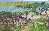 39121  BOLIVIA  GUAPURUCES  COTAS ICE