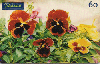 0699 SP 10/99 Flores (Amor Perfeito ferrugem) Tir. 100.000 60C