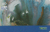 2249  SP  03/04  João Pedro  Tir. 50.000 Interp. 40C
