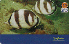 2378  SP  09/04  Animais Marinhos (10/10) Tir. 91.000 Int. 20C