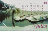 20209  RS  06/02  Série Calendário 2002 ( 07/12 ) Tir. 150.000 ICE 30C